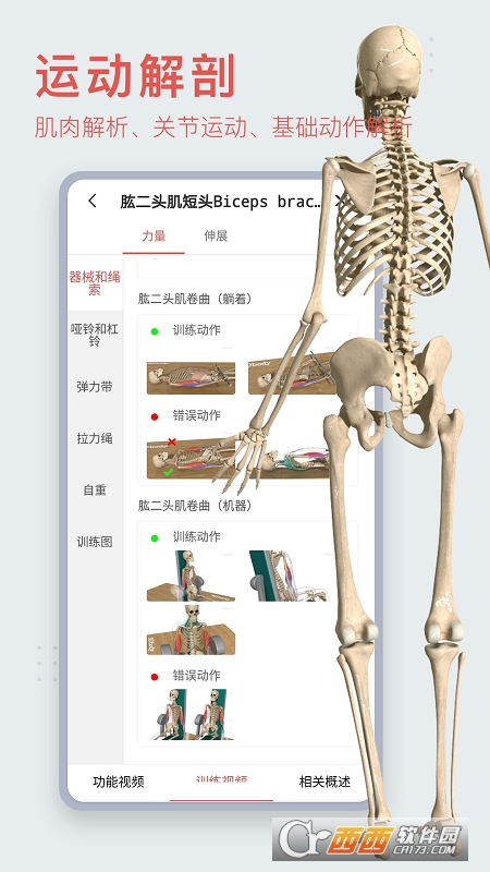 3DBody解剖APP