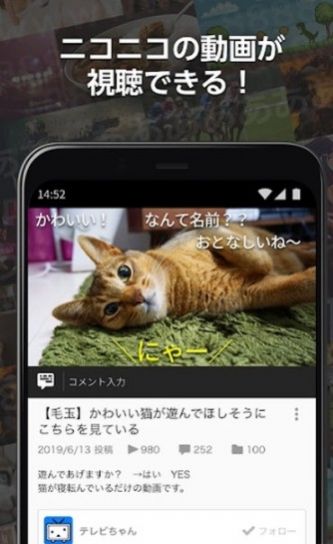 日本b站app软件官方版